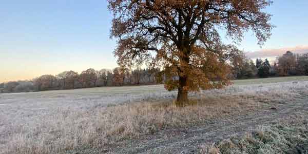 maintain a good winter drive