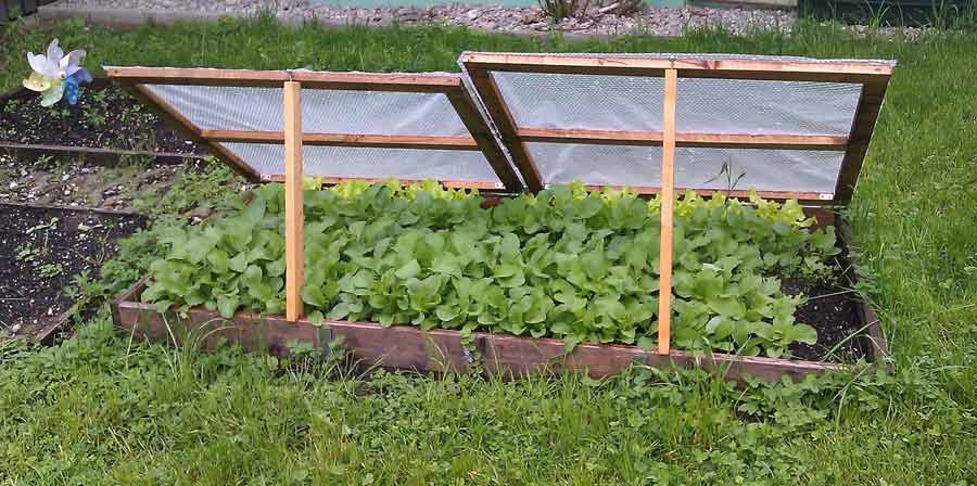 Cold Frames