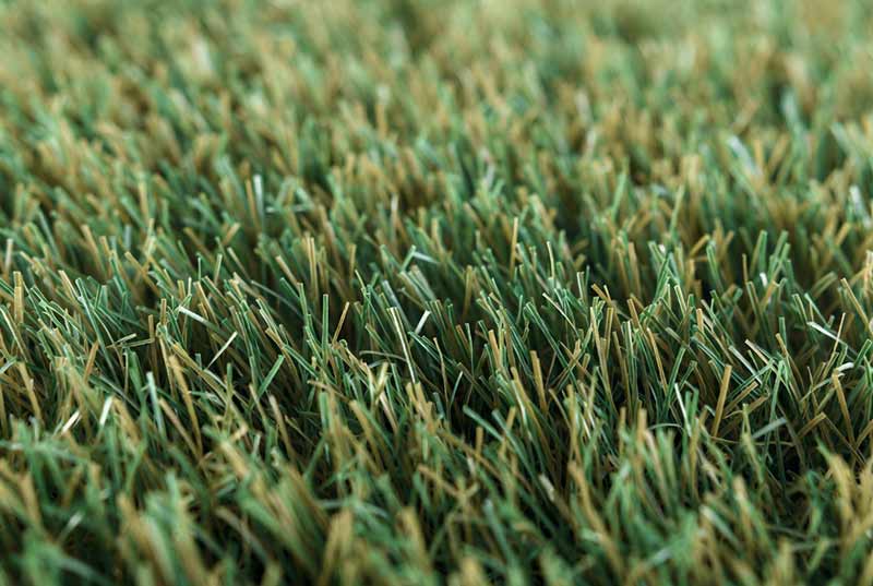 Dog playing safely on artificial grass in Merseyside